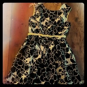 The Limited sleeveless Spring Dress